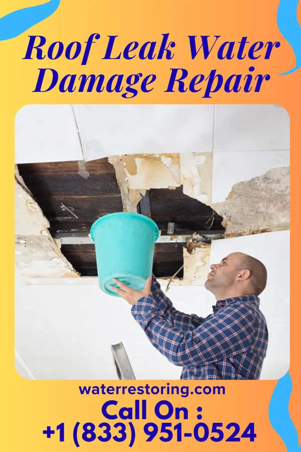Roof Leak Water Damage Repair in Foots Creek, OR