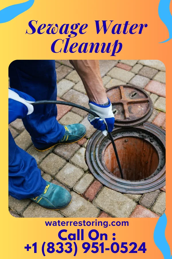 Sewage Water Cleanup in Foots Creek, OR